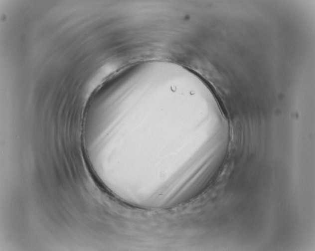 X0000089430003200707061355