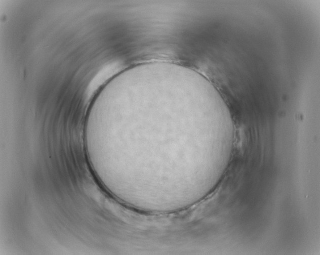 X0000089430004200707061355