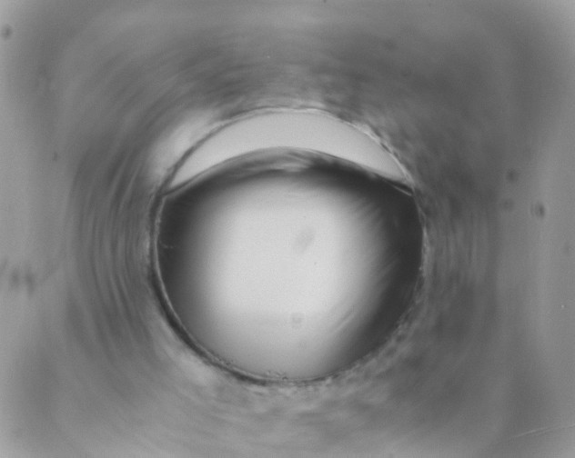 X0000089430005200707061355