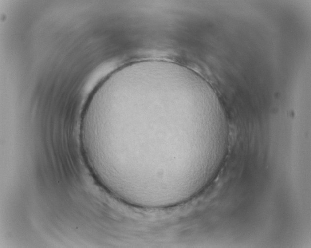 X0000089430006200707061355