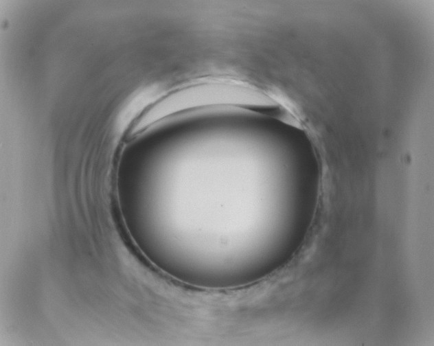 X0000089430007200707061355