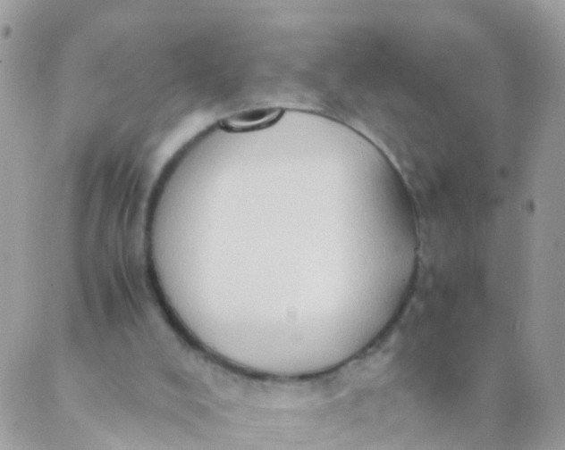 X0000089430008200707061355