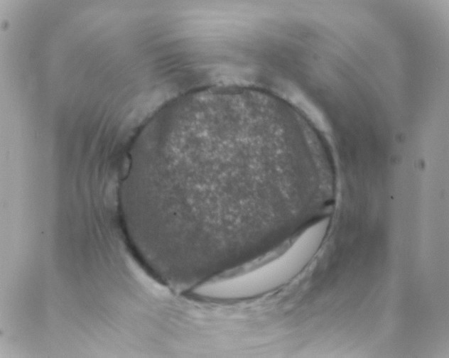 X0000089430009200707061355