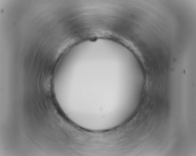 X0000089430010200707061355