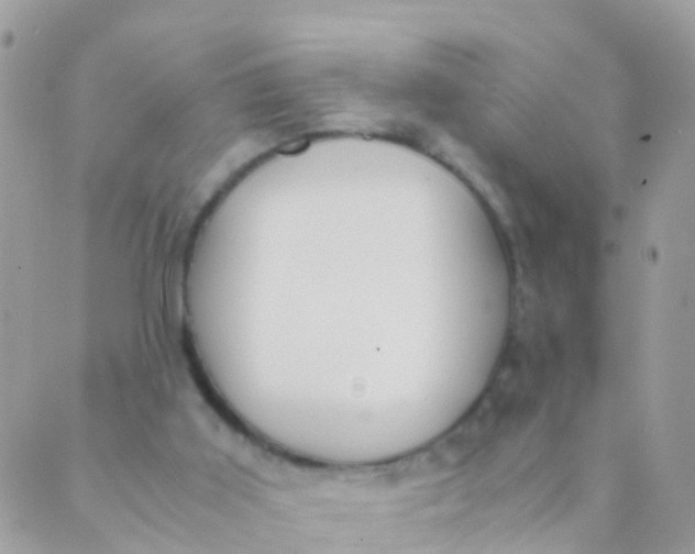 X0000089430011200707061355