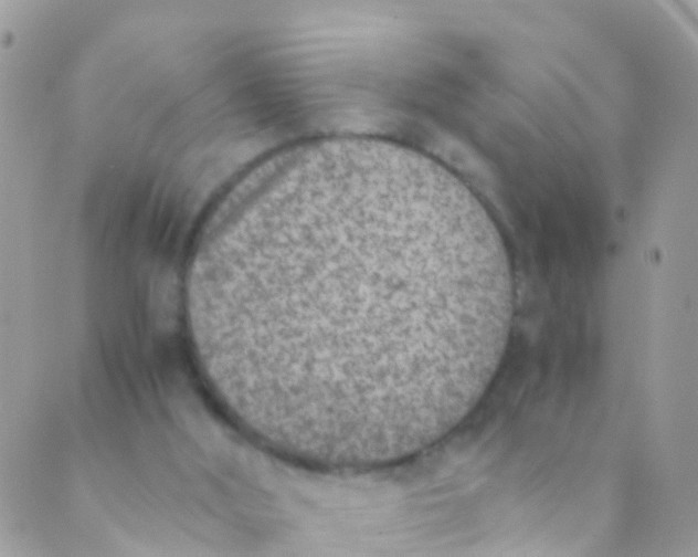 X0000089430012200707061355