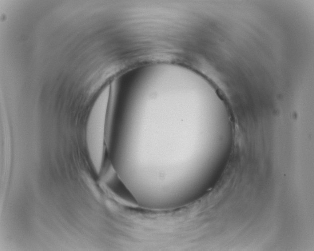 X0000089430013200707061355