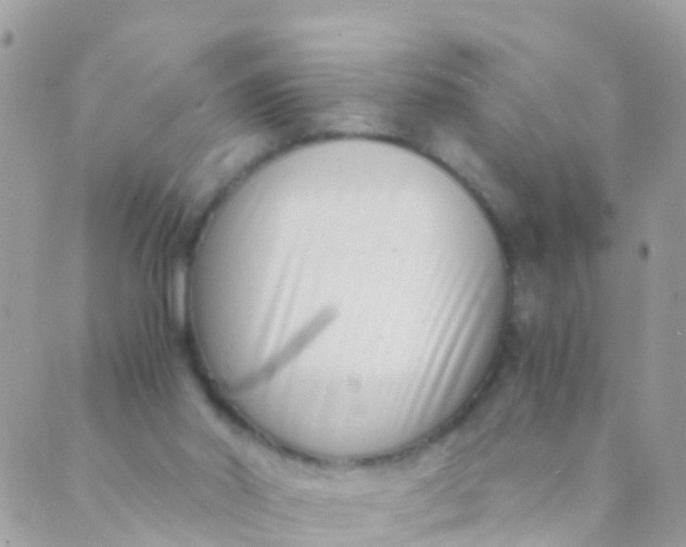 X0000089430014200707061355