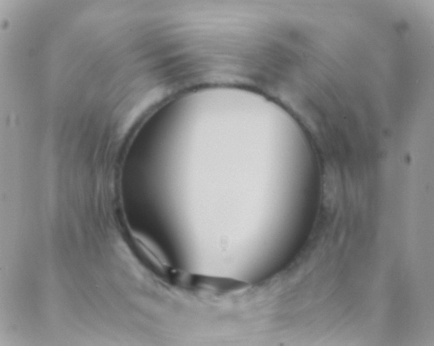 X0000089430015200707061355