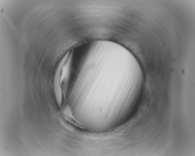 X0000089430017200707061355