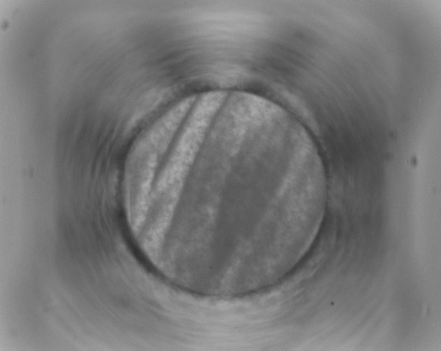 X0000089430018200707061355