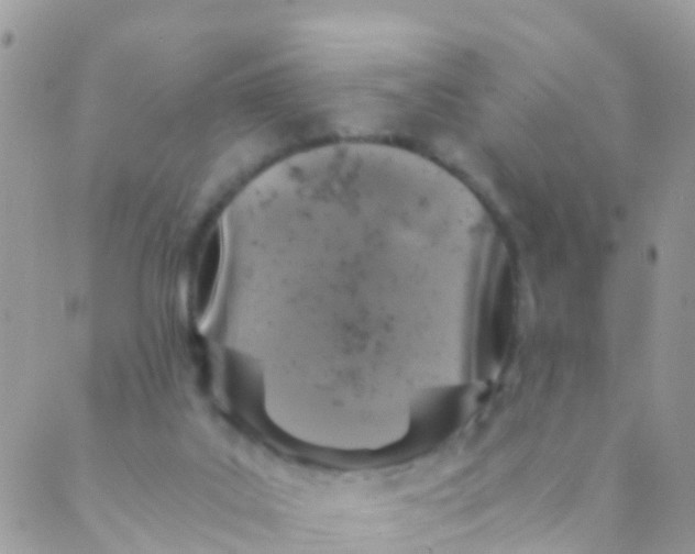 X0000089430019200707061355