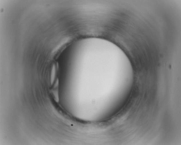 X0000089430020200707061355