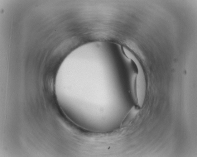 X0000089430021200707061355