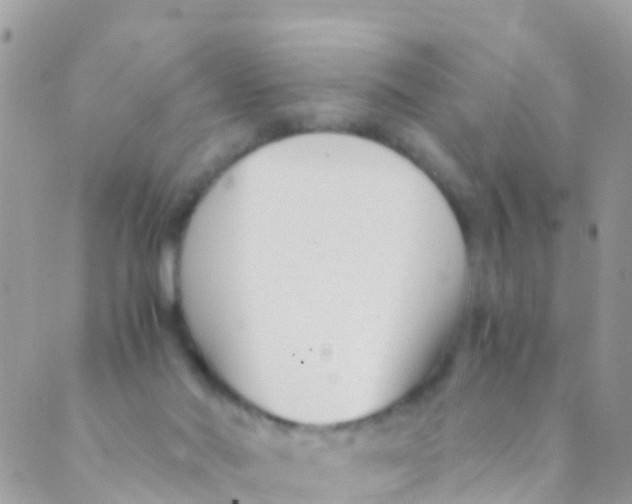 X0000089430022200707061355