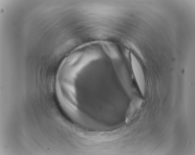 X0000089430023200707061355