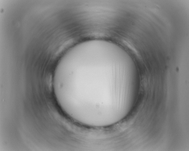 X0000089430024200707061355