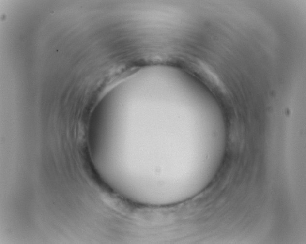 X0000089430025200707061355