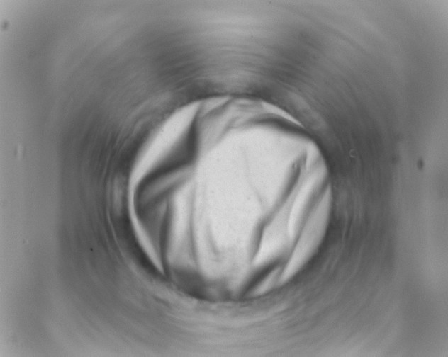 X0000089430026200707061355