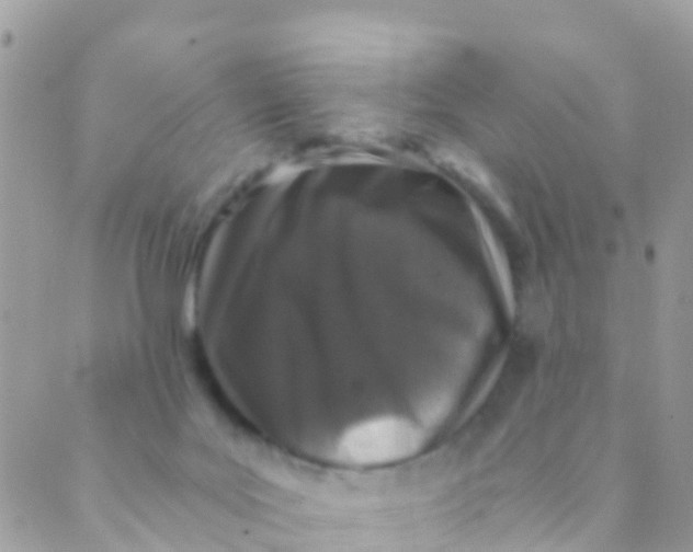 X0000089430027200707061355