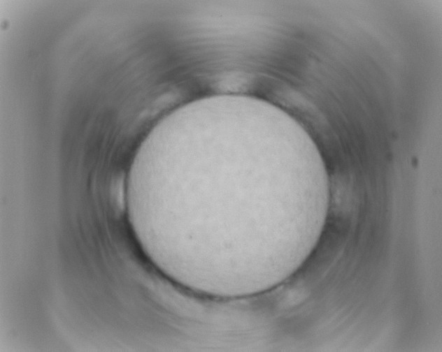 X0000089430028200707061355