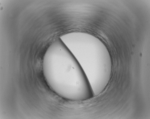 X0000089430029200707061355