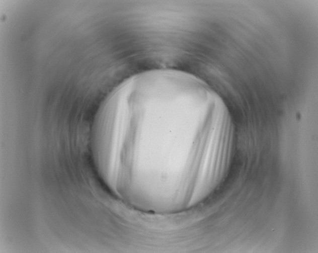 X0000089430030200707061355