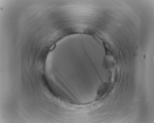 X0000089430031200707061355