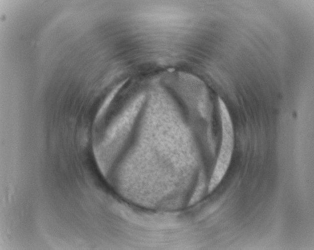 X0000089430032200707061355