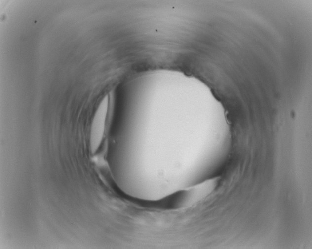 X0000089430033200707061354