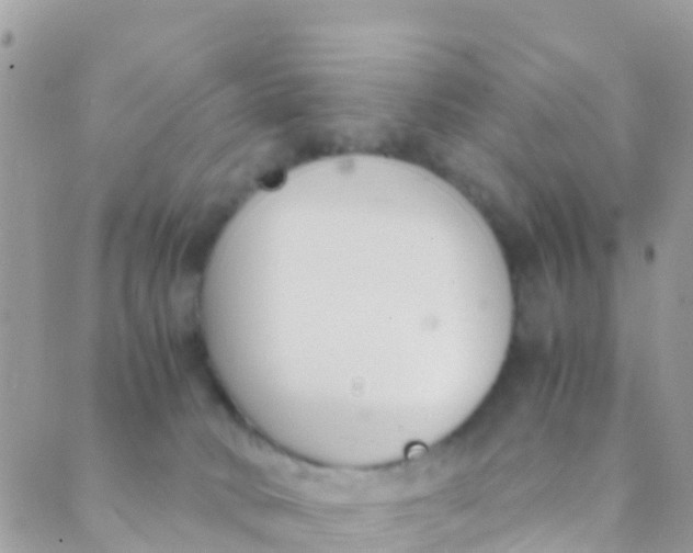 X0000089430034200707061354