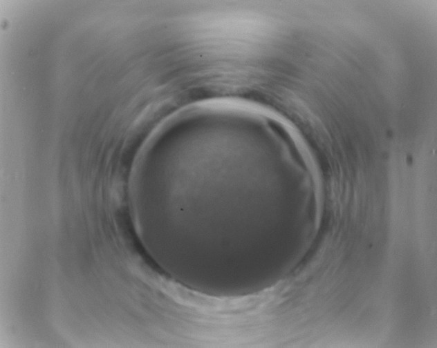 X0000089430035200707061354