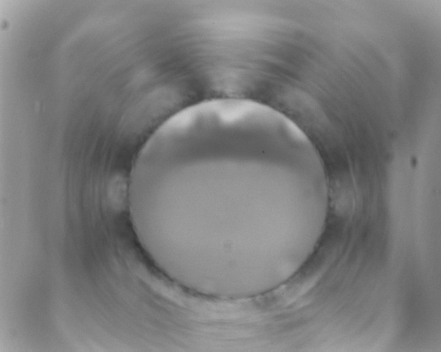 X0000089430036200707061354