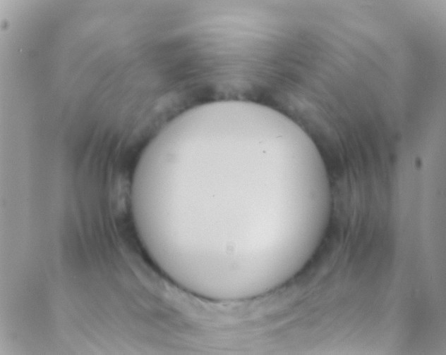 X0000089430038200707061354