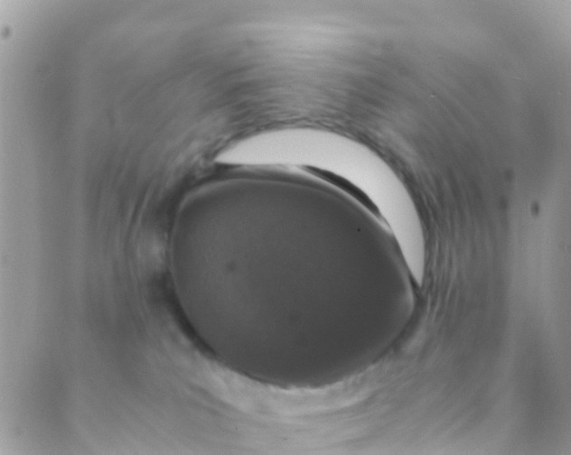 X0000089430039200707061354