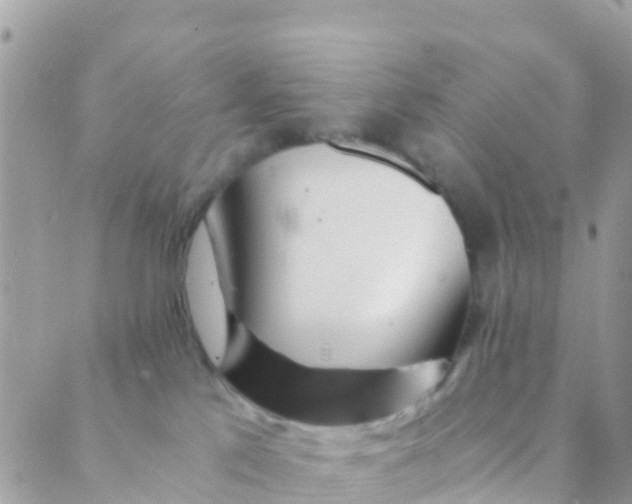 X0000089430041200707061354