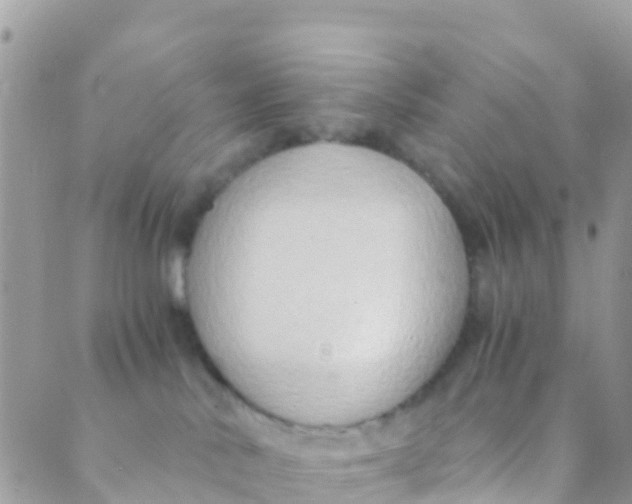 X0000089430042200707061354