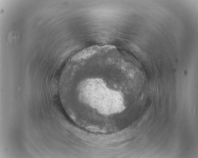 X0000089430043200707061354