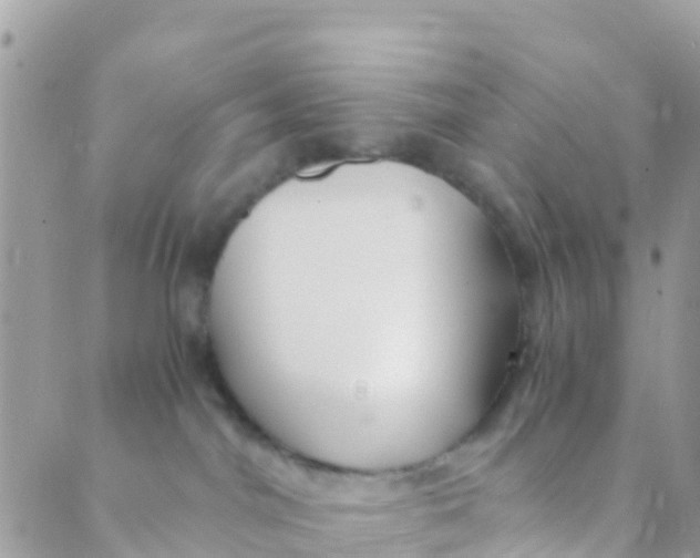 X0000089430044200707061354