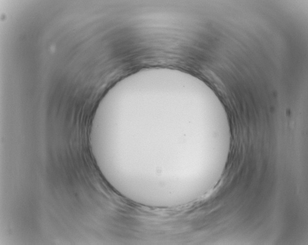 X0000089430045200707061354