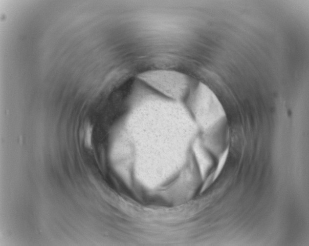 X0000089430046200707061354