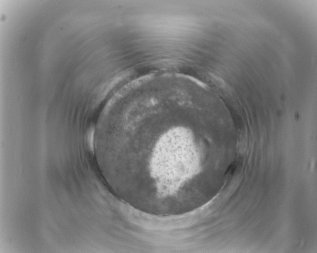 X0000089430047200707061354