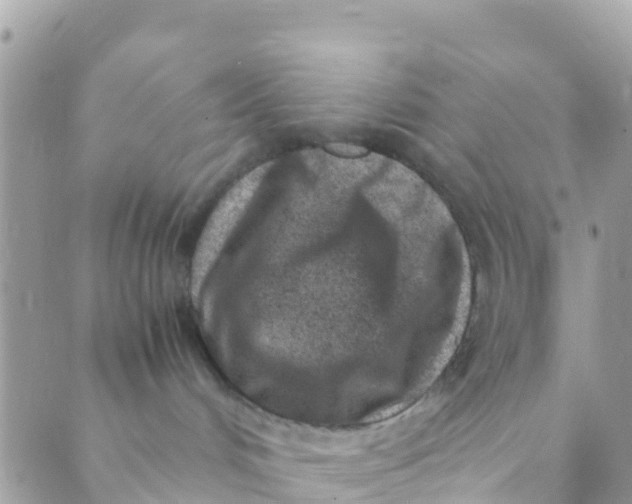 X0000089430048200707061354