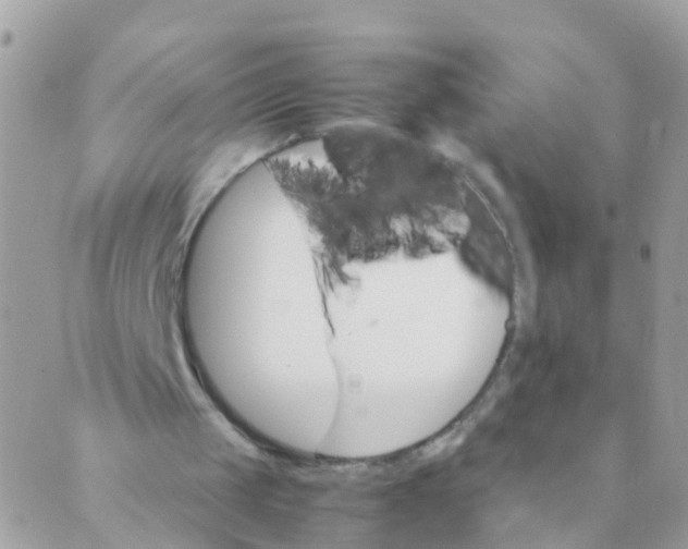 X0000089430049200707061353