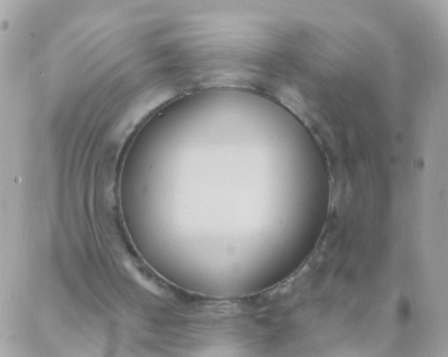 X0000089430050200707061353