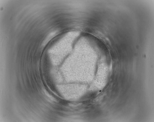 X0000089430051200707061354