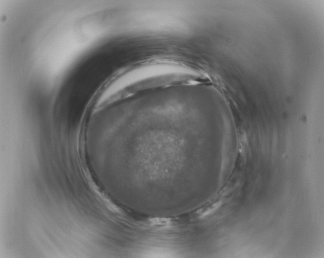 X0000089430052200707061354