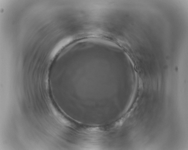 X0000089430054200707061354