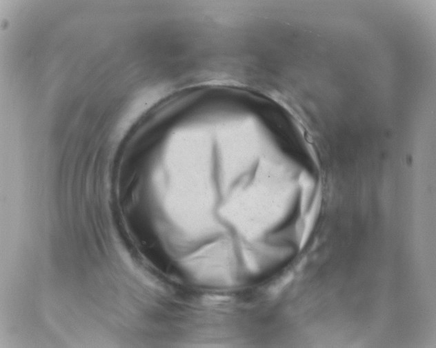 X0000089430055200707061354