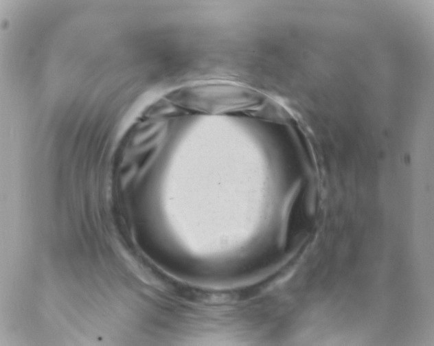 X0000089430056200707061354